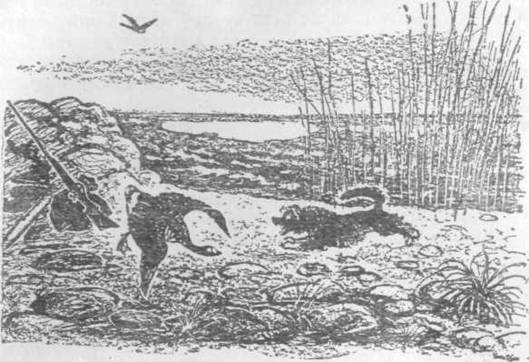 Повести и рассказы - i_081.jpg