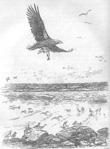 Повести и рассказы - i_082.jpg