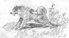 Повести и рассказы - i_101.jpg