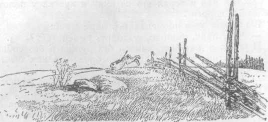 Повести и рассказы - i_117.jpg