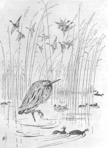 Повести и рассказы - i_124.jpg