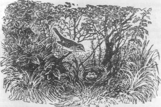 Повести и рассказы - i_126.jpg