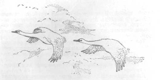 Повести и рассказы - i_134.jpg