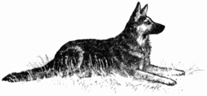 Анъяр - i_008.png