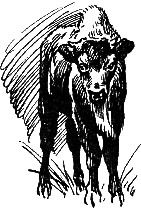 Зеленые листы из красной книги - i_027.jpg