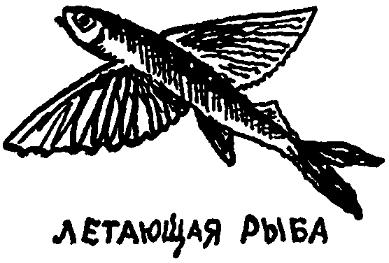 Клуб знаменитых капитанов. Книга 1 - pic47.png