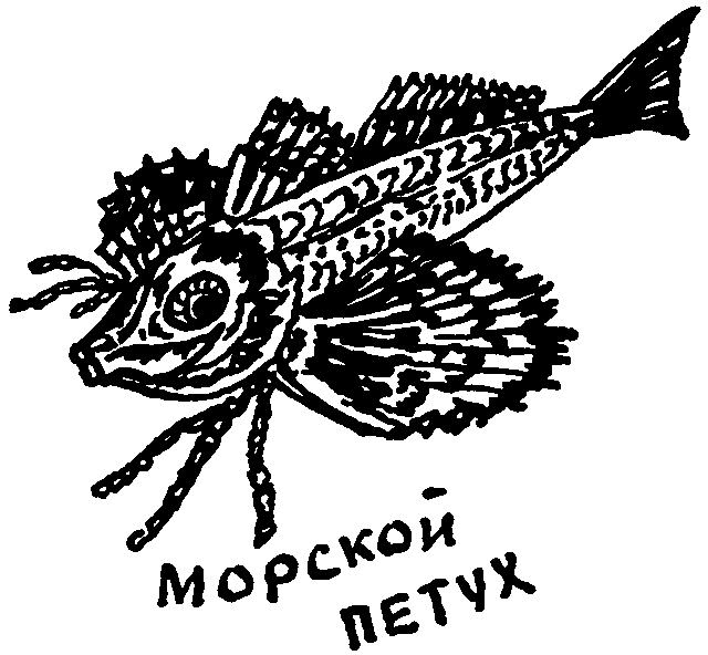 Клуб знаменитых капитанов. Книга 1 - pic48.png