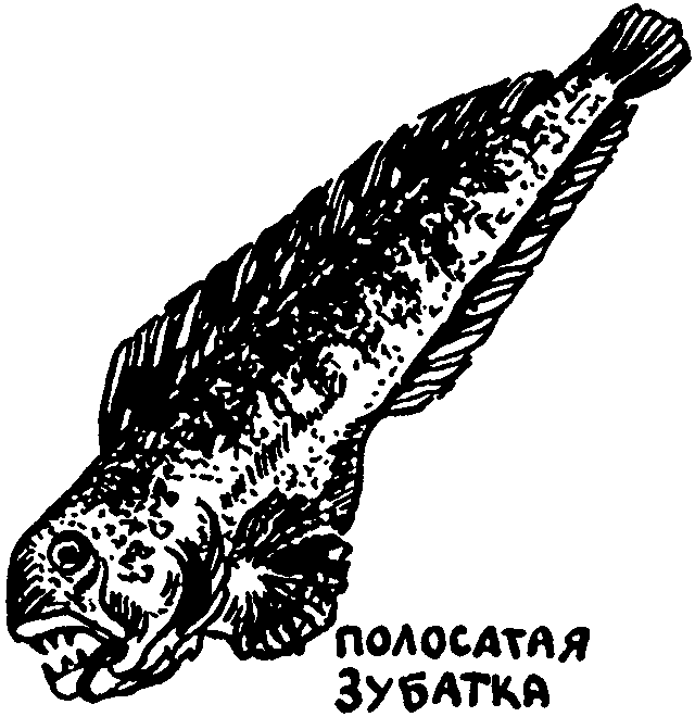 Клуб знаменитых капитанов. Книга 1 - pic52.png