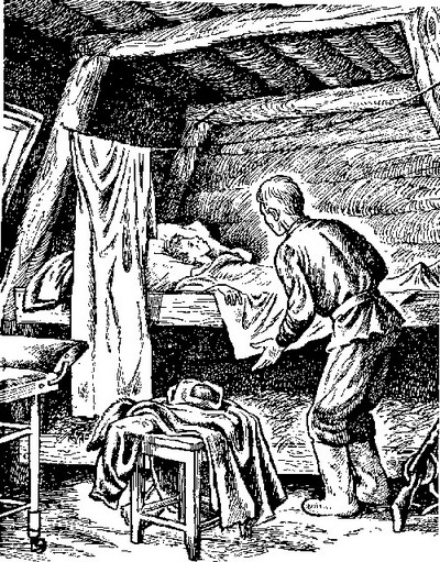 Скворечник, в котором не жили скворцы - i_016.jpg