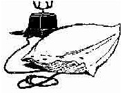 Черемыш – брат героя - i_019.jpg