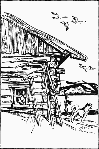 Алтайская повесть - i_019.png