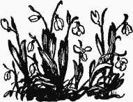 Девочка из города - i_003.png