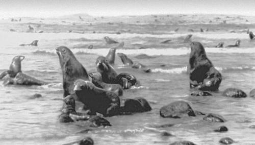 Большая Советская Энциклопедия (КО) - i009-001-232661467.jpg