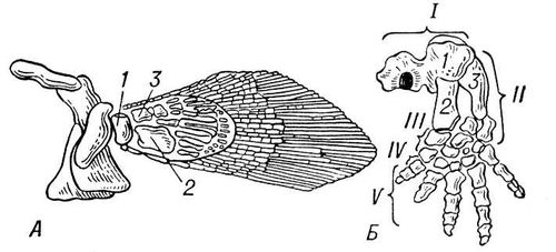 Большая Советская Энциклопедия (КО) - i009-001-221435298.jpg