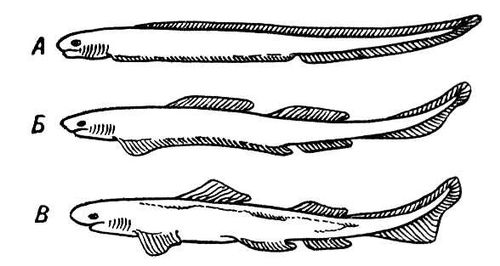 Большая Советская Энциклопедия (КО) - i009-001-233016898.jpg