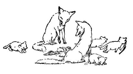 More English Fairy Tales - aWxsdXMyMTcuanBn