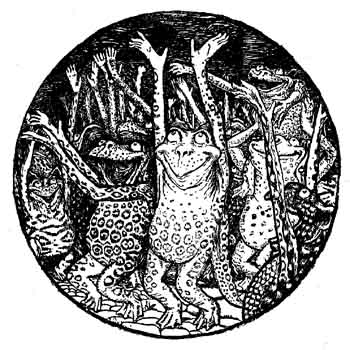 More English Fairy Tales - aWxsdXMwMjUuanBn