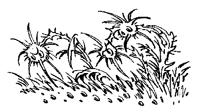 Лиловый шар (с иллюстрациями) - i_002.png