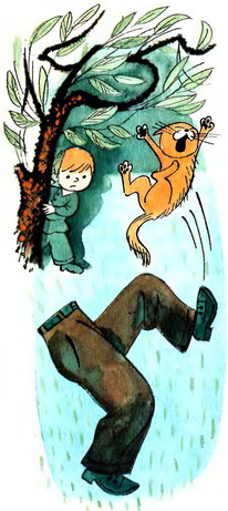 В стране невыученных уроков (Иллюстрации: В. А. Чижиков) - _41a.jpg