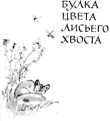 Булка цвета лисьего хвоста - Untitled1.png