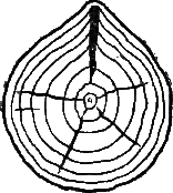 И столяр, и плотник - i_27.png