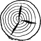 И столяр, и плотник - i_29.png