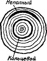 И столяр, и плотник - i_30.png