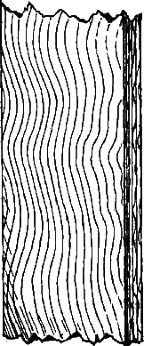 И столяр, и плотник - i_32.png