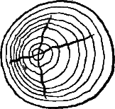 И столяр, и плотник - i_33.png