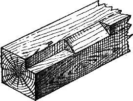 И столяр, и плотник - i_49.png