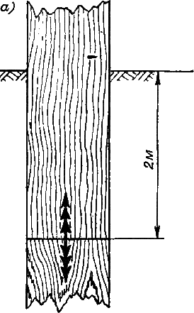 И столяр, и плотник - i_51.png