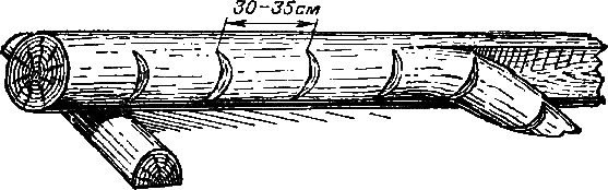 И столяр, и плотник - i_48.png