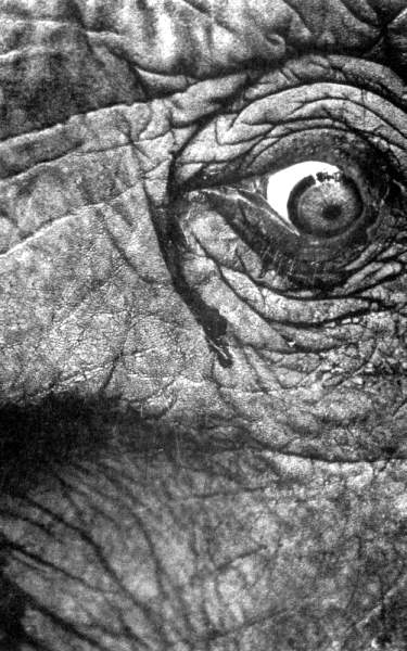 Жутко громко и запредельно близко - image038.jpg