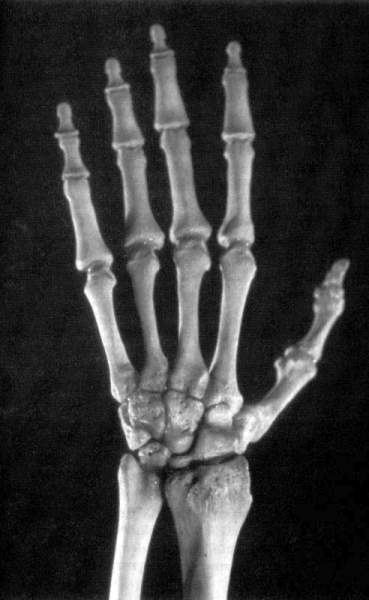 Жутко громко и запредельно близко - image044.jpg