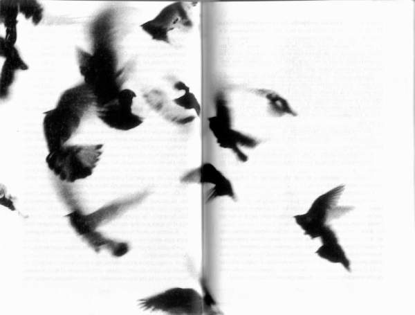 Жутко громко и запредельно близко - image055.jpg