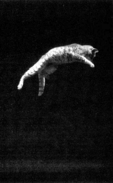 Жутко громко и запредельно близко - image059.jpg