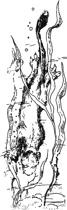 Норби и захватчики - fig_04.png