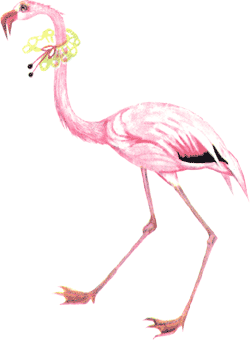 Путешествие в Жаркую страну - i_011.png