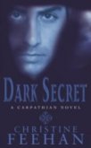 Dark Secret - Feehan Christine