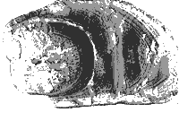 Пароль — «Эврика!» - _03kriotasrez.png