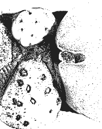 Пароль — «Эврика!» - _03kriotazarod.png