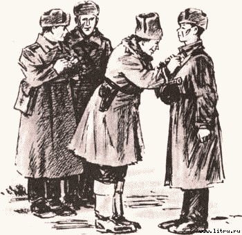 Дорога на Стрельну - any2fbimgloader50.jpg