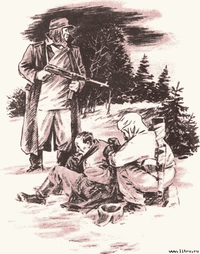 Дорога на Стрельну - any2fbimgloader53.jpg