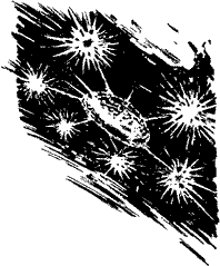 Мир приключений 1962 г. № 8  - Untitled17.png