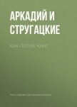 Читать книгу Как погиб Канг, автор Стругацкие Аркадий и Борис Как погиб Канг - Стругацкие Аркадий и Борис