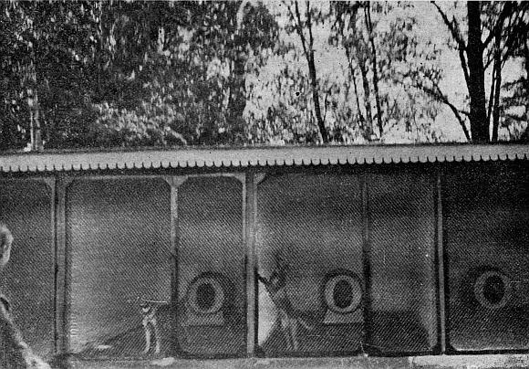 Руководство дрессировки полицейских и военных собак - i_009.jpg