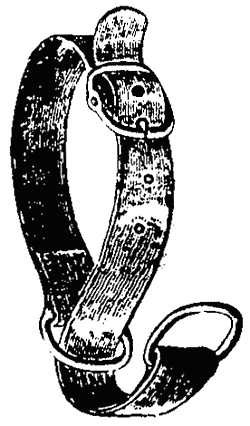 Руководство дрессировки полицейских и военных собак - i_012.png