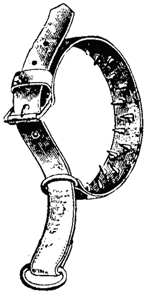 Руководство дрессировки полицейских и военных собак - i_013.png