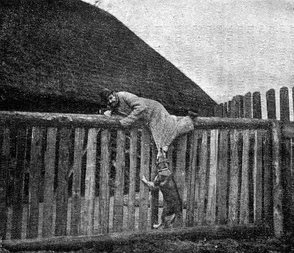 Руководство дрессировки полицейских и военных собак - i_021.jpg