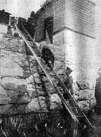 Руководство дрессировки полицейских и военных собак - i_037.jpg